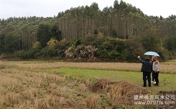 黔南布依族苗族自治州陈老师带着爱徒寻龙点穴